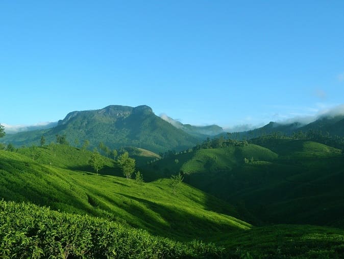 paysage culturel au Kerala en Inde