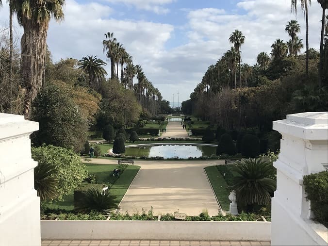 Alger voyage culture jardin d'essai