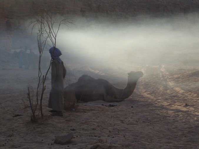 bedouin et son dromadaire desert du sinai randonnee meditation