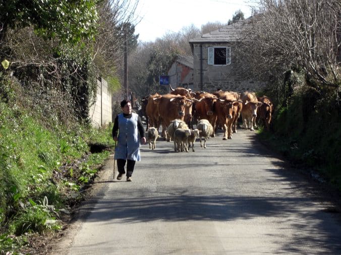 paysanne village de galice espagne compostelle
