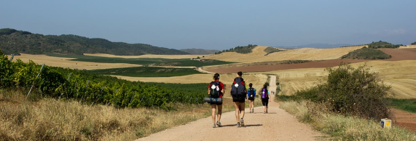 pelerins marchant entre burgos et leon pelerinage compostelle espagne