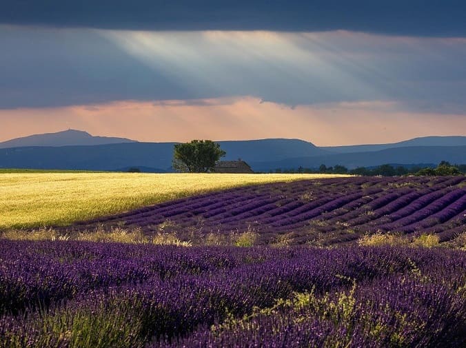 beauté paysage provence randonnée