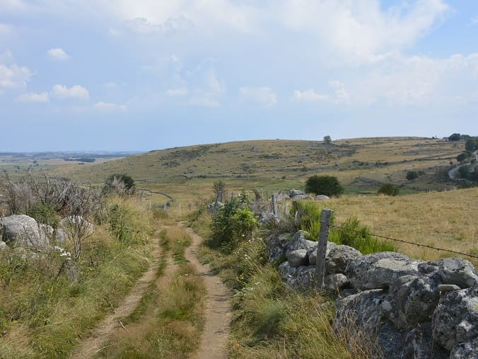 chemin pelerinage saint jacques de compostelle aubrac