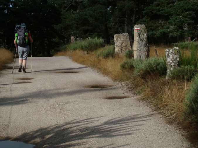 pelerin sur la route du pelerinage compostelle