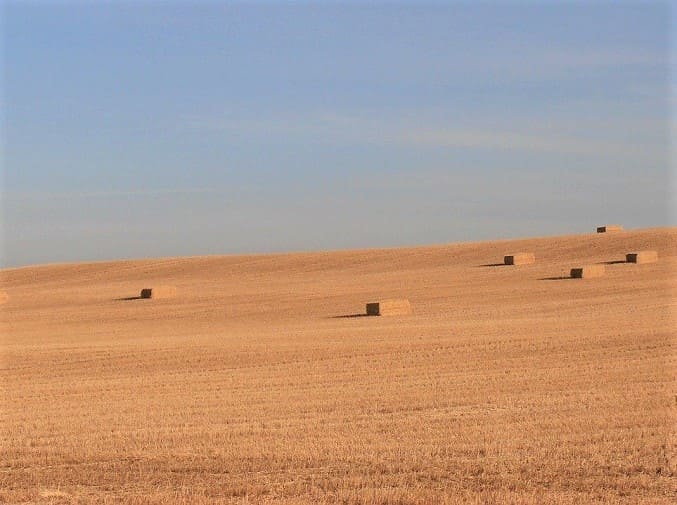 la meseta entre burgos et leon pelerinage compostelle