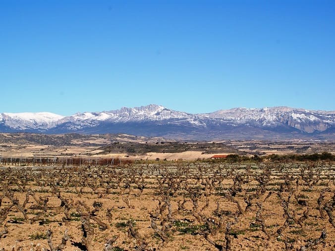 paysage logrono pelerinage saint jacques de compostelle