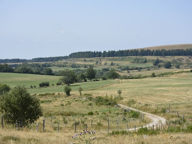 randonnée spirituelle a travers aubrac compostelle