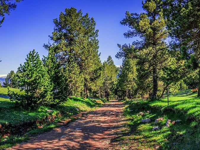 beauté du chemin au milieu des pyrenees pelerinage compostelle