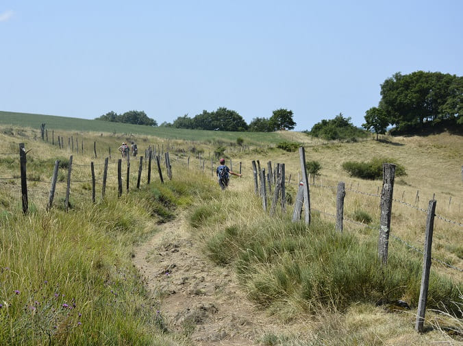 chemin de compostelle à travers l'Aubrac