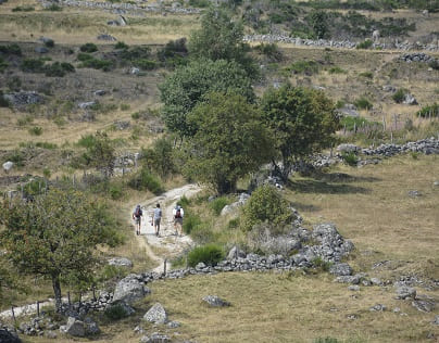 pelerinage compostelle sur le plateau de l'aubrac 