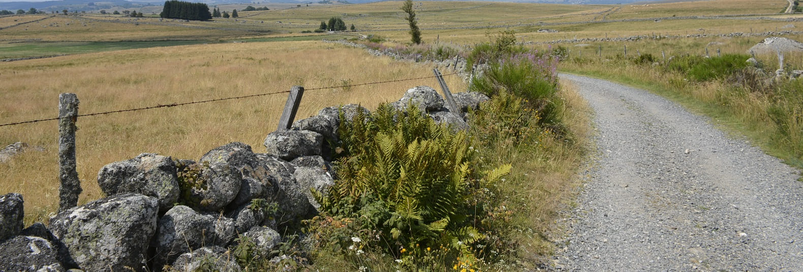 paysages de l'aubrac pelerinage saint jacques