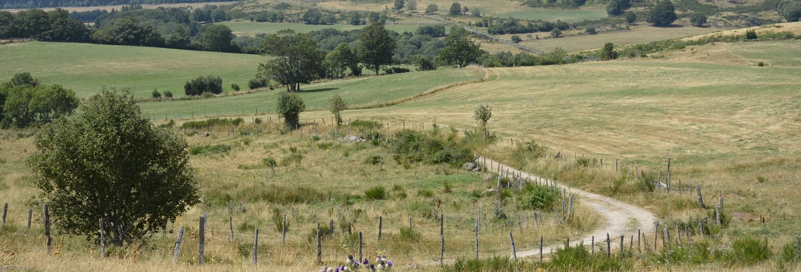 chemin le long du lot pelerinage compostelle