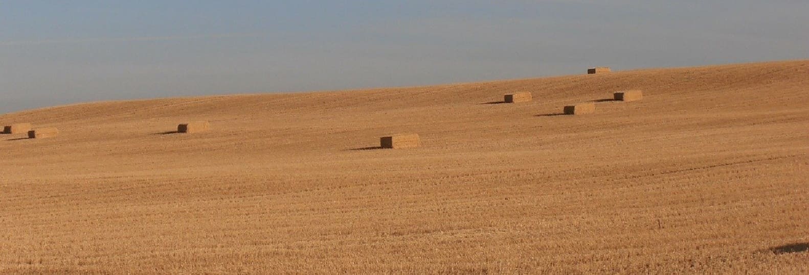 paysage desertique de la meseta pelerinage randonnée compostelle