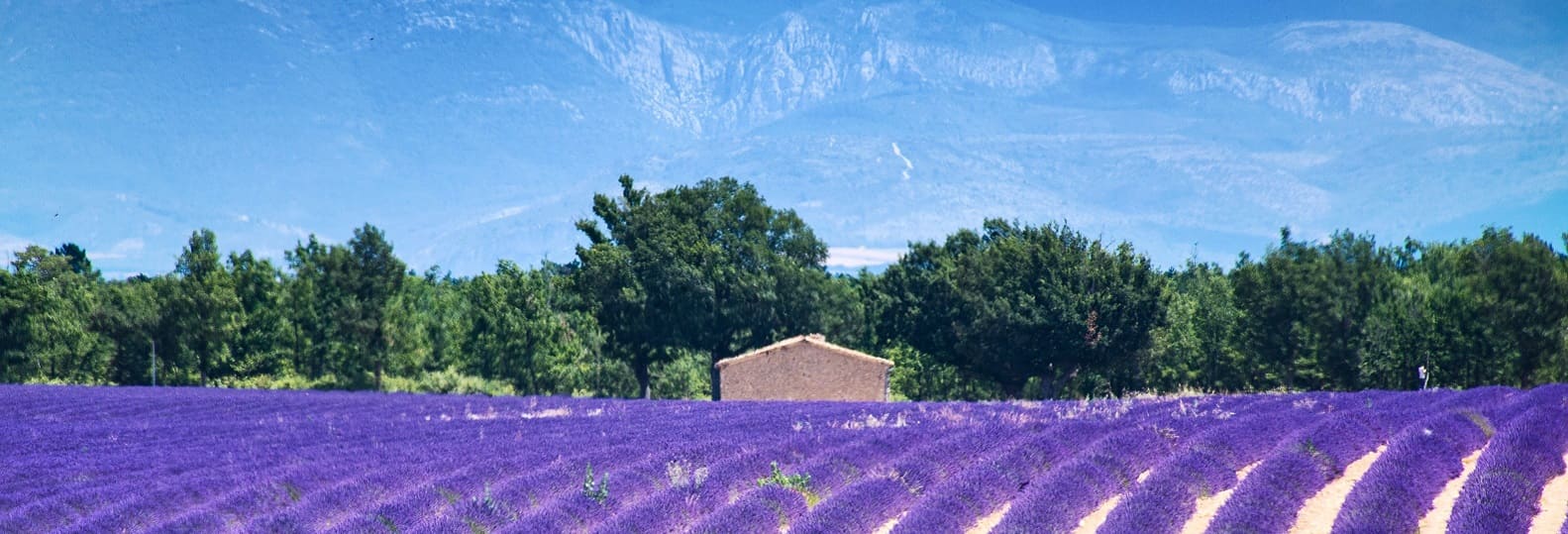 voyage en Provence