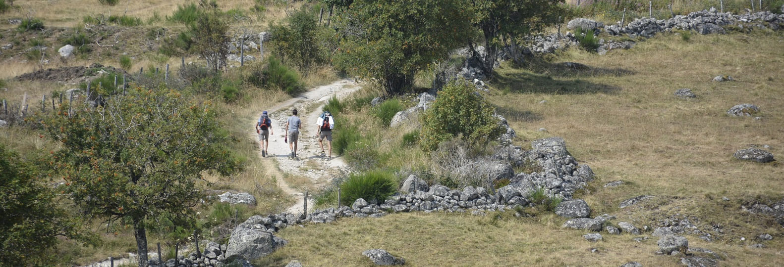 pelerins sur le plateau de l'aubrac pelerinage compostelle