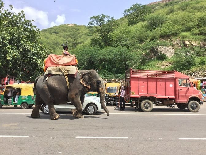 scene de vie en Inde lors d'un voyage culturel