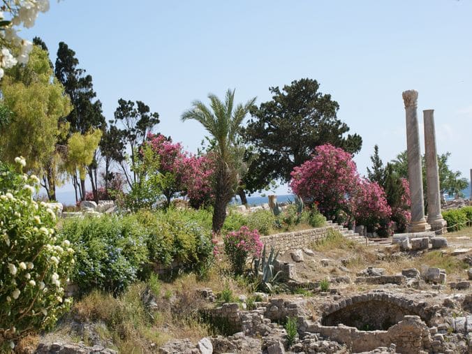 Liban Tyr pèlerinage 