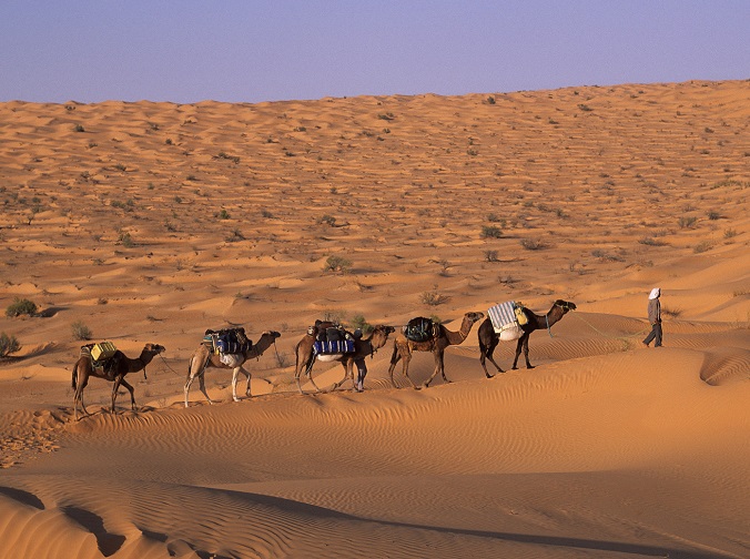 meharee dans les dunes lors randonne spirituelle maroc