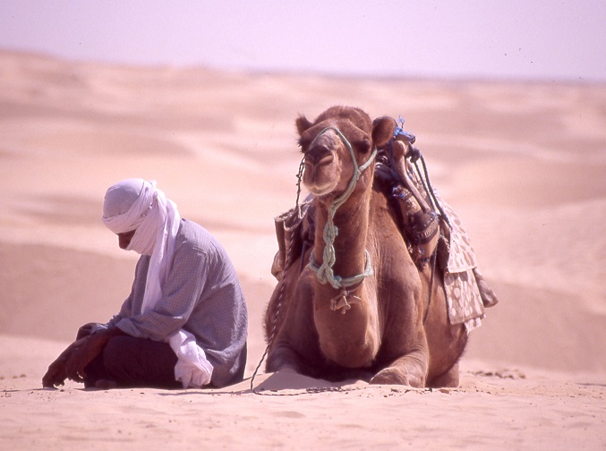 bedouin et son dromadaire randonnée spirituelle meditation