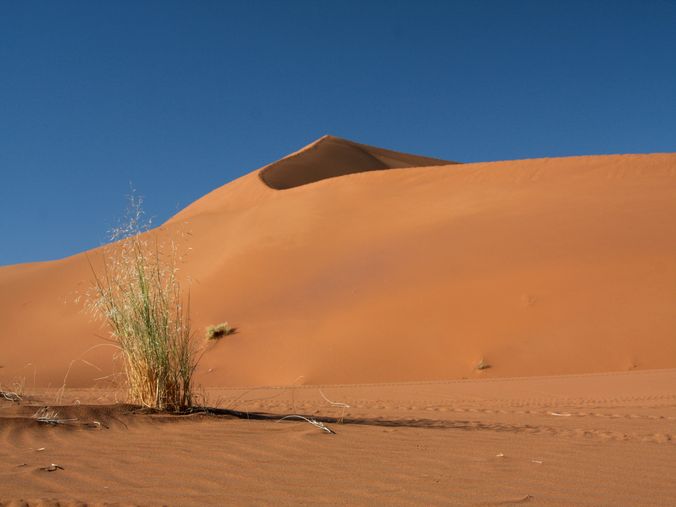 pasayge desert de sable sud marocain