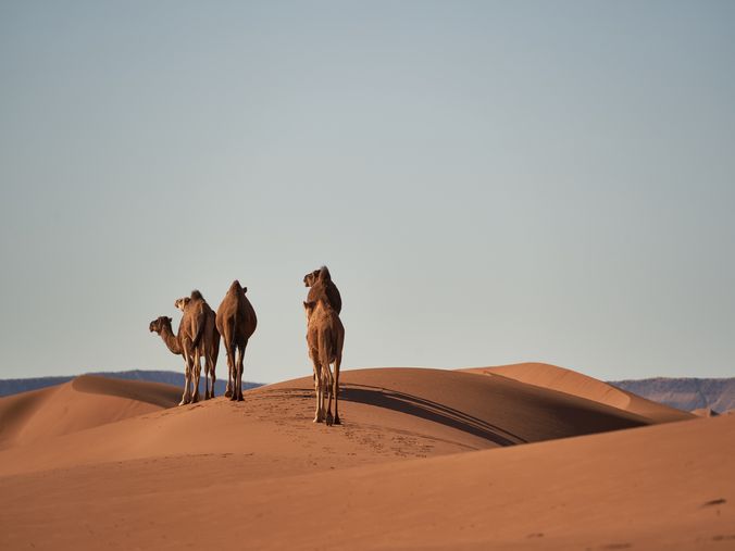 Désert du Maroc dunes de sable randonnée spirituelle