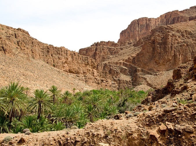Voyage culturel marche Maroc 